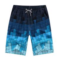 Polyester Capri Pants & Plus Size Men Cargo Shorts & breathable stretchable PC