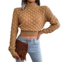 Acrylic Slim & Crop Top Women Sweater Solid PC