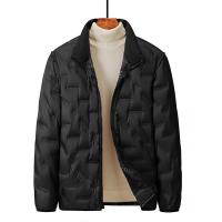 Polyester Men Down Coat & thermal patchwork Solid PC