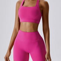 Polyamide & Spandex Women Yoga Clothes Set midriff-baring & skinny Pants & bra Solid Set