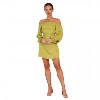 Polyester Waist-controlled One-piece Dress Solid PC
