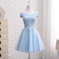 Polyester Slim & Plus Size Short Evening Dress & tube embroidered sky blue PC