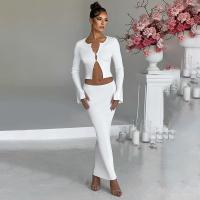 Polyester Slim & High Waist Two-Piece Dress Set midriff-baring & two piece patchwork Others Set