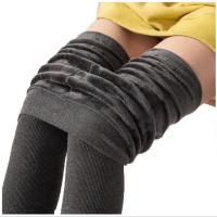 Polyamide & Spandex Women Leggings knitted Solid : PC