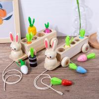 Wooden Creative Children Early Educational Toys PC