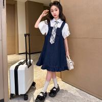 Polyester Girl Clothes Set Cute & two piece suspender skirt & top blue and white Set