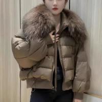 Spandex bubble coat puffer coat Women Down Coat & thermal PC
