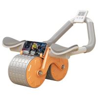 Metal & Plastic with timer Gym Wheel Roller anti-skidding PC