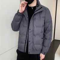 Polyester windproof Men Down Coat & thermal Solid PC