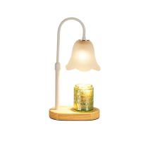 Glass & Wood & Iron adjustable light intensity Fragrance Lamps different power plug style for choose & durable white PC