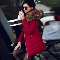 Polyester Women Down Coat slimming & thermal Solid PC