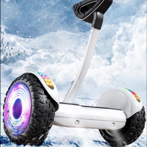 Engineering Kunststoffen Zelfbalancerende scooter meer kleuren naar keuze stuk