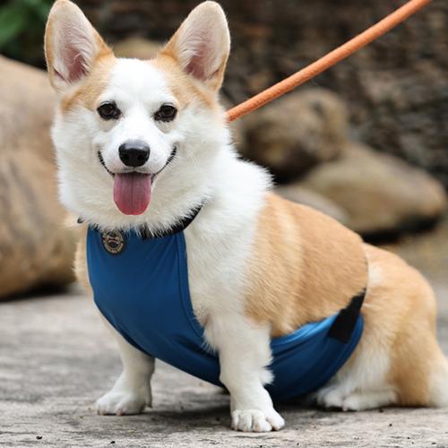 PU Leather Waterproof Pet Dog Clothing Solid blue PC