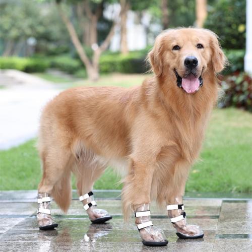 熱可塑性ポリウレタン ペットの犬の靴 黒 セット