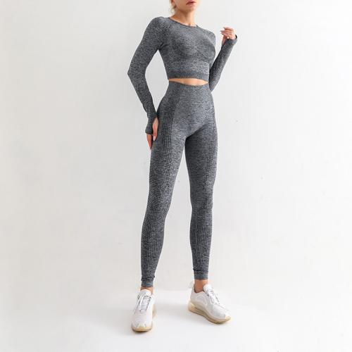 Polyamide & Spandex Quick Dry Women Yoga Clothes Set & two piece long sleeve T-shirt & Pants Solid Set