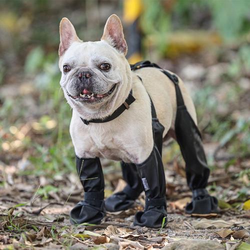 Polyester Waterproof Pet Dog Shoes Solid black Pair