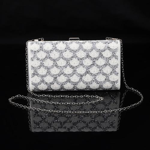 Polyester hard-surface & Easy Matching Clutch Bag silver PC