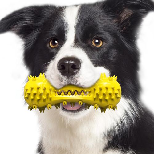 Thermo Plastic Rubber with sound Pet Molar Toys hardwearing PC