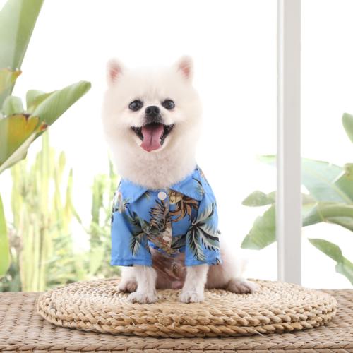 Polyester Haustier Hundebekleidung, unterschiedliches Muster zur Auswahl, mehr Farben zur Auswahl, 5Pcs/Viel,  Viel