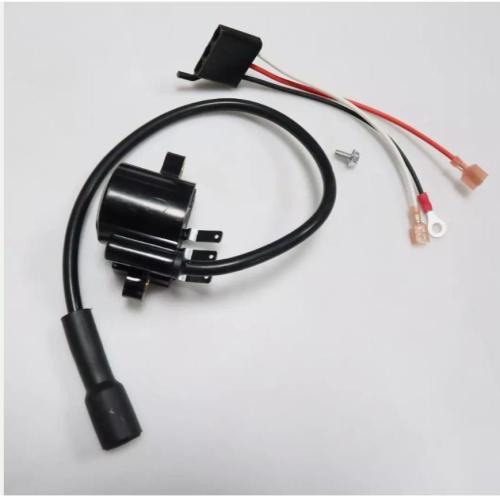 12 707  Lawn and Garden Equipment Engine Ignition Module (DSAI) Rp 12 584 12 S