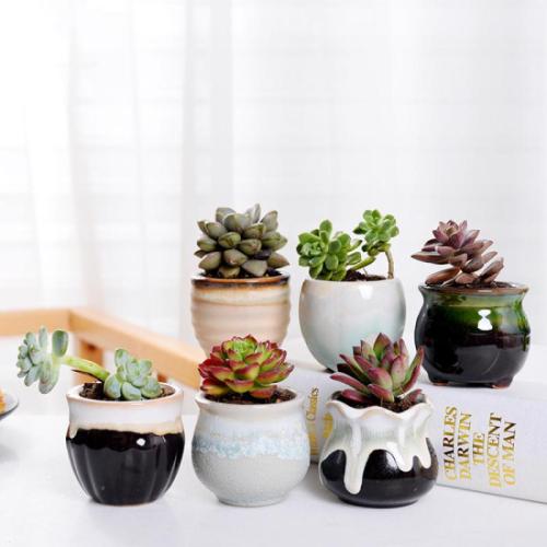 Ceramics Flower Pot Plants are not included & corrosion proof & six piece Set