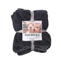 Polyester Blanket thicken & thermal & breathable PC