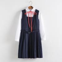 Cotton Plus Size Schoolgirl Costume dress & long sleeve shirt blue Set