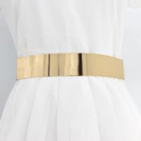 Steel Fashion Belt plated Solid Strand
