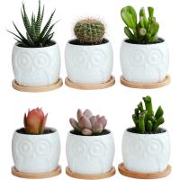 Ceramics Creative Flower Pot corrosion proof & hardwearing & six piece & breathable Solid white Lot