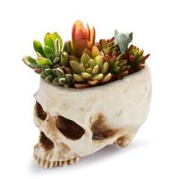 Synthetic Resin Creative Flower Pot corrosion proof & durable & hardwearing & breathable PC