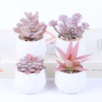 Ceramics & PVC Creative Artificial Plants  PC