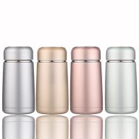 Stainless Steel thermostability Vacuum Bottle Mini & portable PC