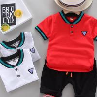 Katoen Boy Summer Kleding Set Broek & Boven meer kleuren naar keuze Instellen