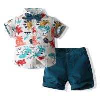 Cotton Boy Summer Clothing Set & two piece Pants & top Set