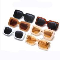 PC-Polycarbonate Sun Glasses sun protection & unisex Polymethyl Methacrylate PC