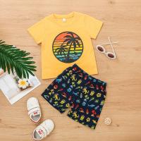 Katoen Boy Summer Kleding Set Broek & Boven Afgedrukt verschillende kleur en patroon naar keuze Instellen