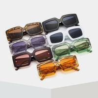 PC-polykarbonát Sluneční brýle Polymethylmethakrylát più colori per la scelta kus