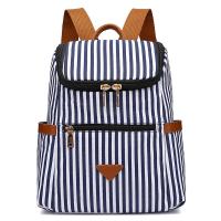 Canvas Backpack large capacity striped blue PC