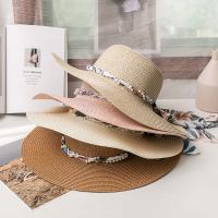 Paille Chapeau de paille de protection solaire plus de couleurs pour le choix : pièce