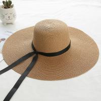 Straw Sun Protection Straw Hat sun protection & for women Solid PC