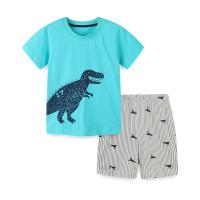 Cotton Boy Clothing Set & two piece Pants & top knitted Cartoon Set