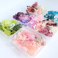 Getrocknete Blume DIY Handwerk Blume, Handgefertigt, mehr Farben zur Auswahl,  Box