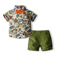 Cotton Slim Boy Clothing Set for boy & two piece Pants & top printed green Set