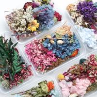Getrocknete Blume Erhaltung der Blumendekoration, Handgefertigt, mehr Farben zur Auswahl,  Box