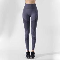 Polyamide & Nylon Slim & Quick Dry & High Waist Women Yoga Pants flexible PC