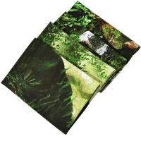 Polyester Creative Tapestry landscape PC
