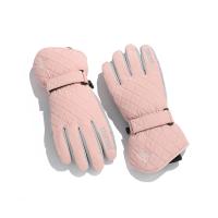 Polyester Riding Glove can touch screen & thermal plain dyed Others : Pair
