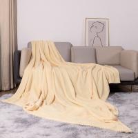 Polyester Blanket thicken Solid PC