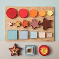 Silicone Creative Kids Wooden Geometry Matching Puzzle Set