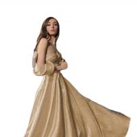 Polyester High Waist Long Evening Dress & tube Solid champagne PC